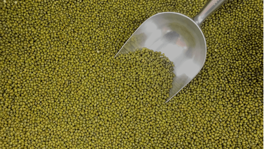 녹두와 녹두로 만든 음식 사진 - 7811