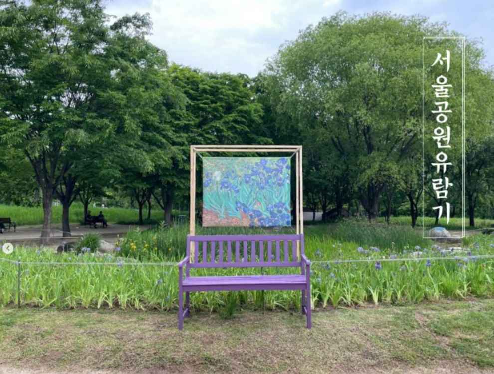 서울창포원 사계축제 꽃 기억해