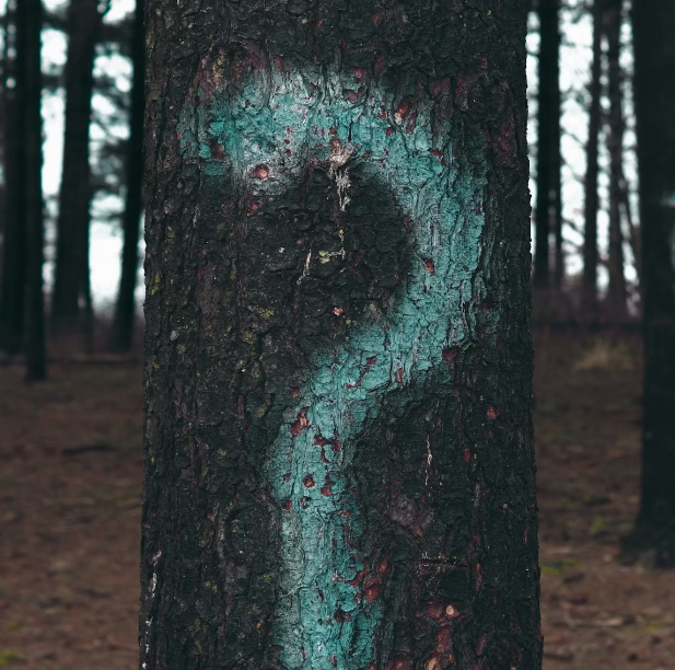 금투세 뜻! 금융투자소득세의 모든 것