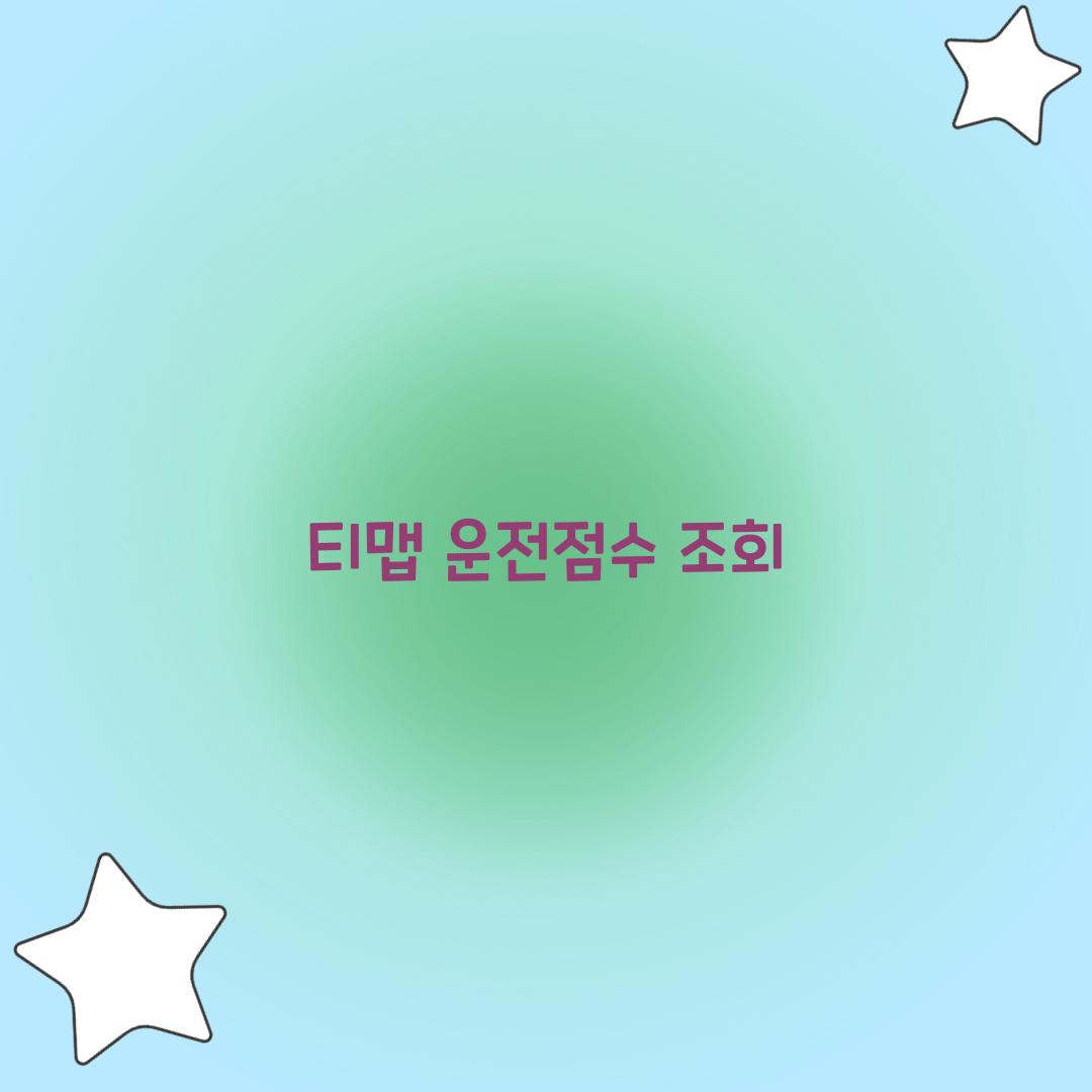 티맵 운전점수 조회