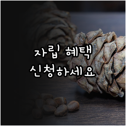 2025년 동두천시 정신건강 지원 사..