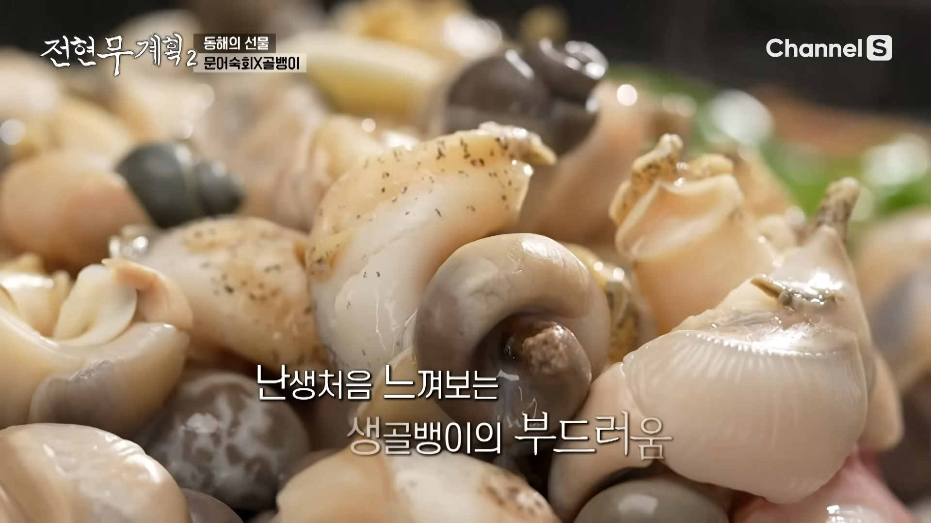 강릉 삼척 골뱅이숙회 동해안