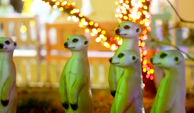 안산 별빛마을 별빛축제