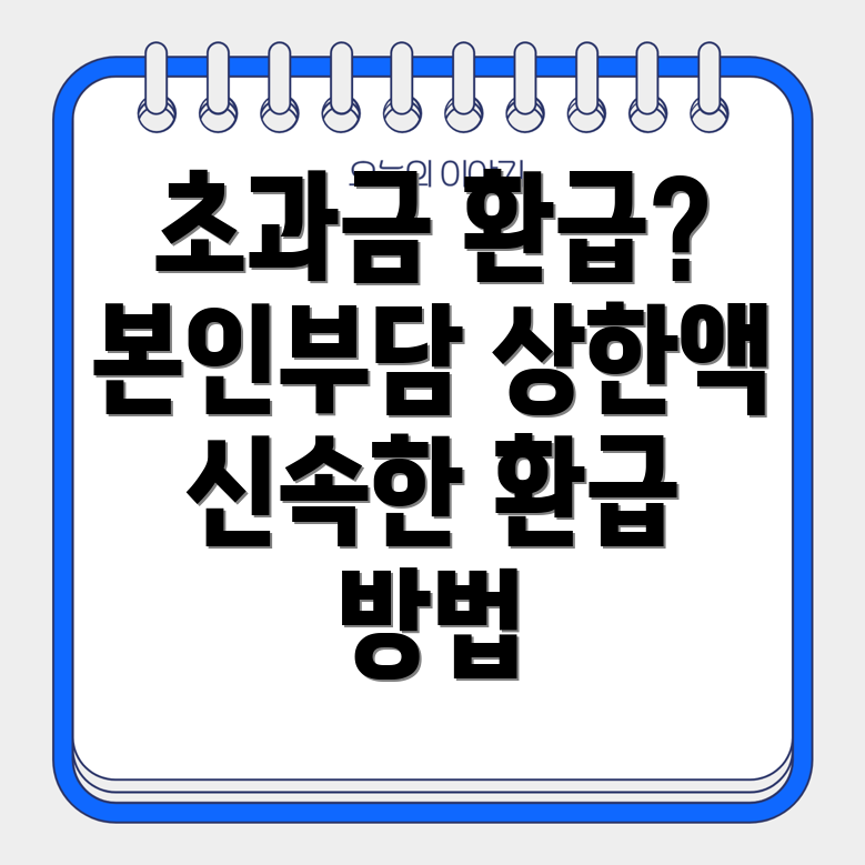 본인부담상한액