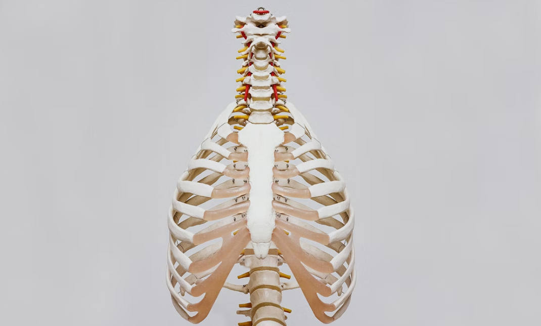 예방을 위한 올바른 자세와 습관