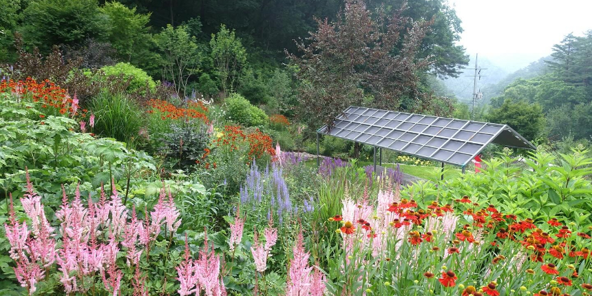 특색있고 아름다운 민간 정원 30선 추천 여행 - 12. 인제 찍박골 정원