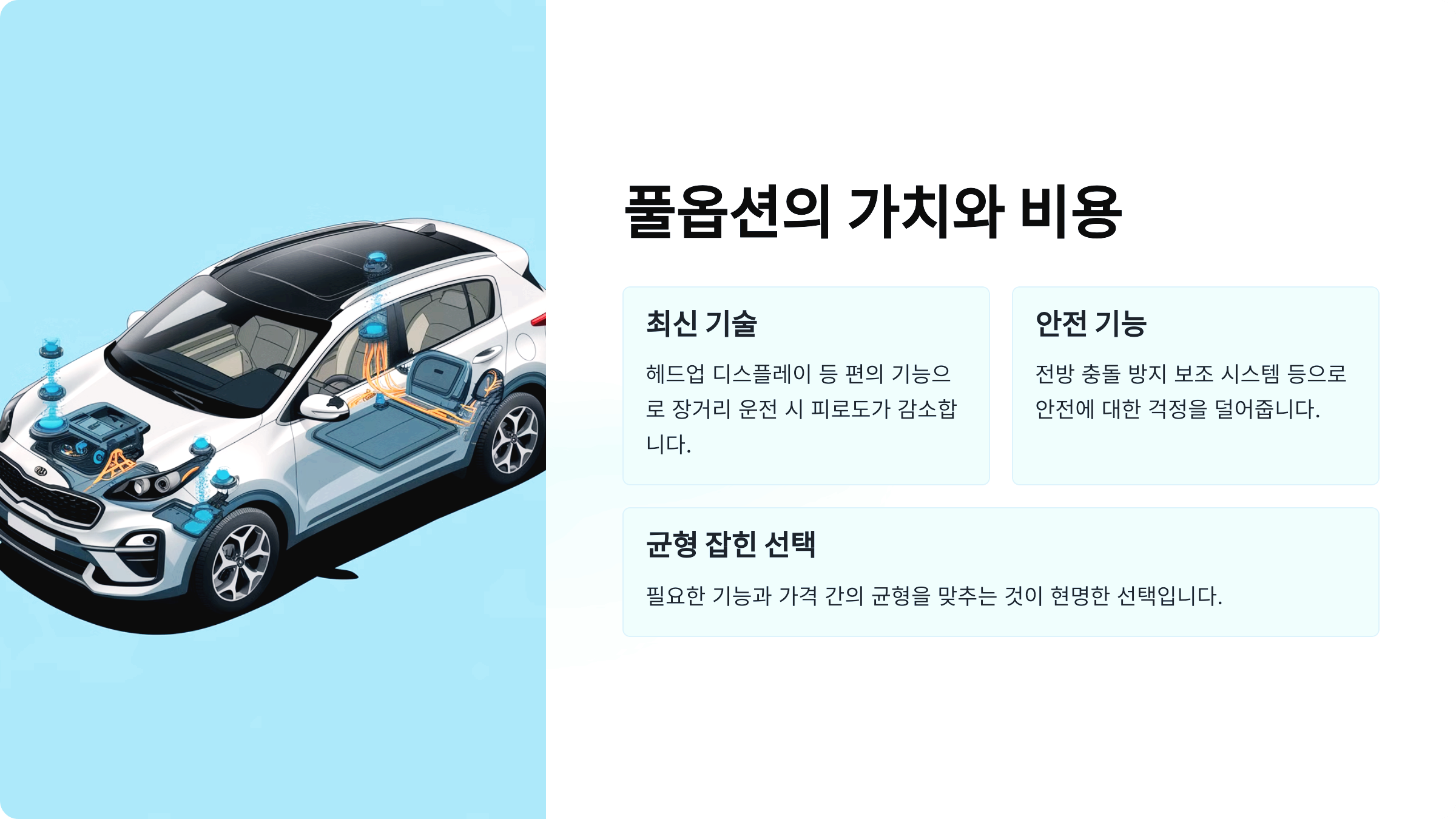 풀옵션의 가치와 비용