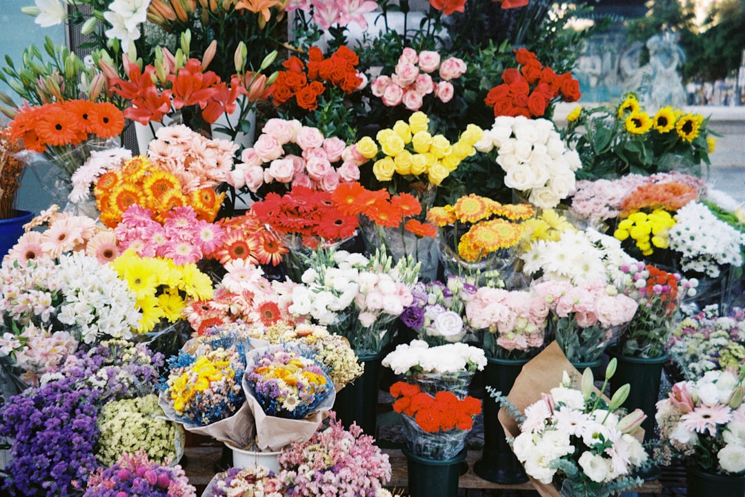 Flower Expo