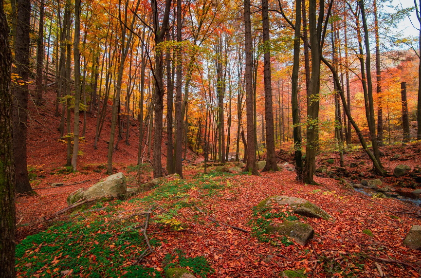충북 가볼만한곳 청주·충주, 단양·제천, 보은·괴산