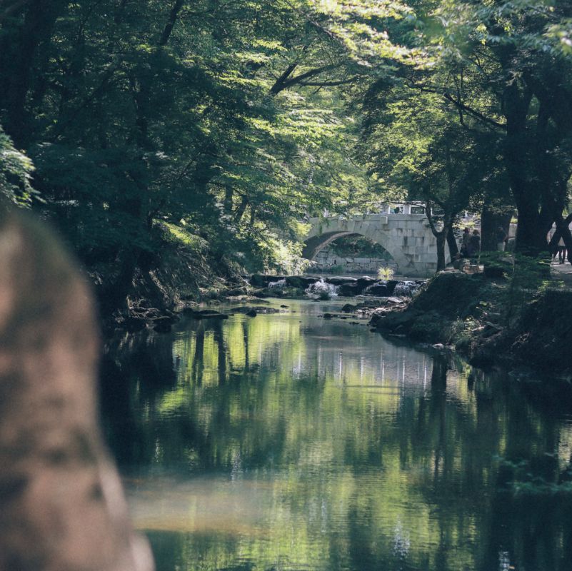 선운산도립공원