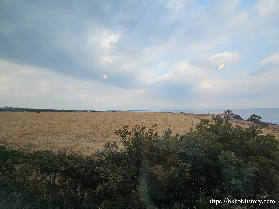 제주도 카페물썹