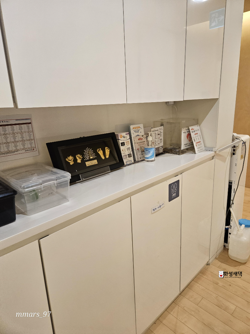 세인트마리-산부인과