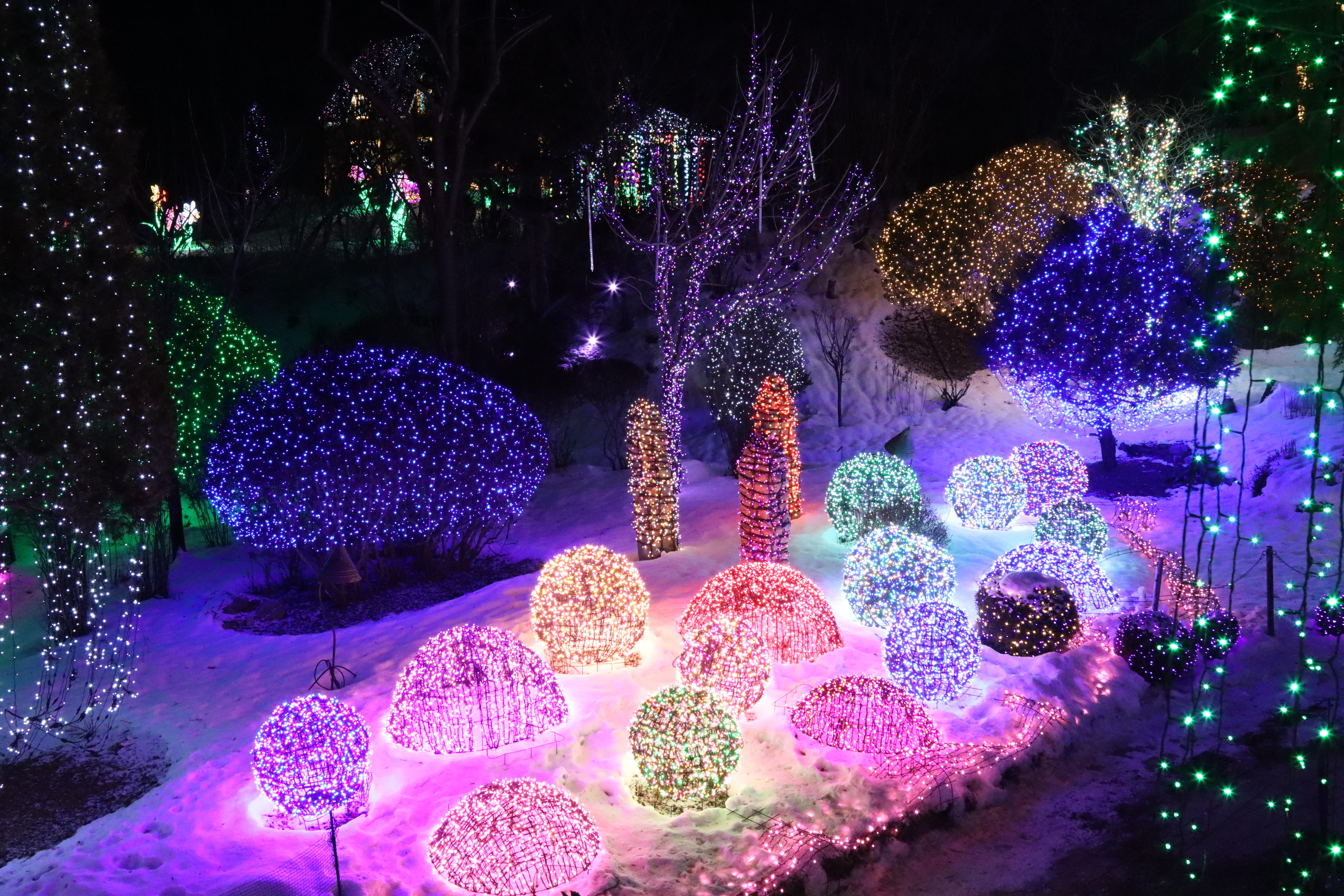 아침고요수목원