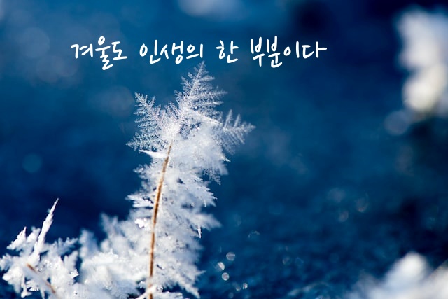 '겨울도 인생의 한 부분이다' 섬네일 이미지