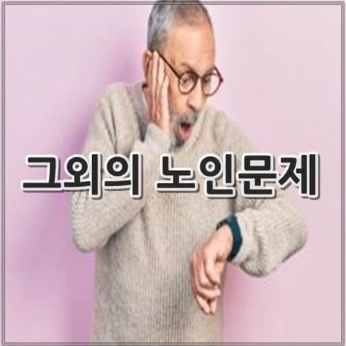그외의 노인문제