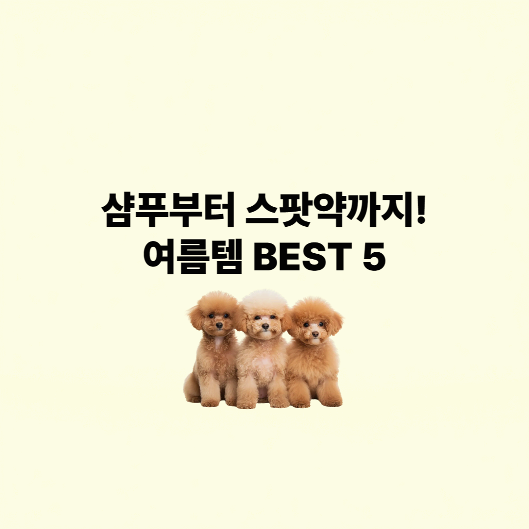 강아지 여름철 피부 트러블 예방법과 추천 제품