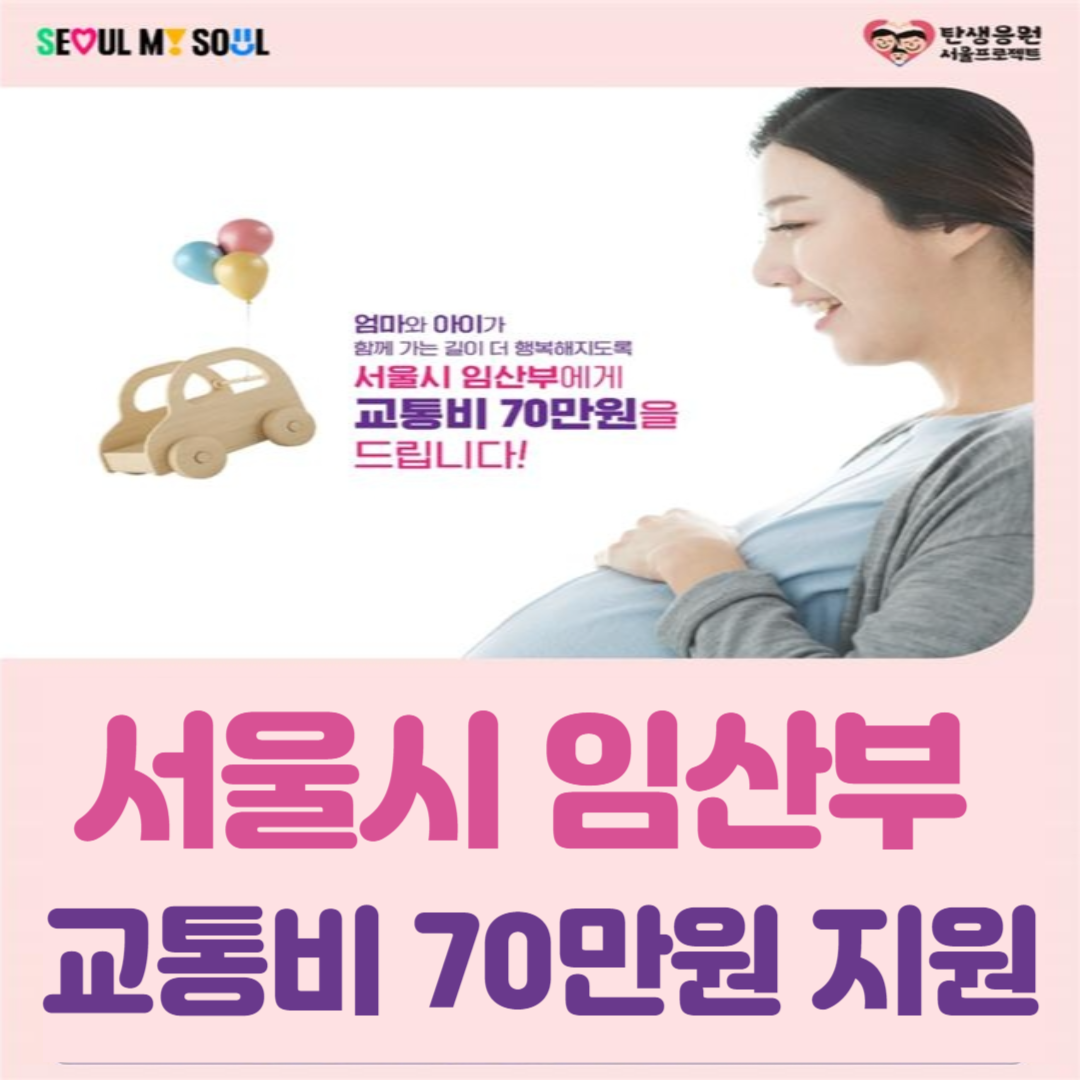 서울시 임산부 교통비 지원