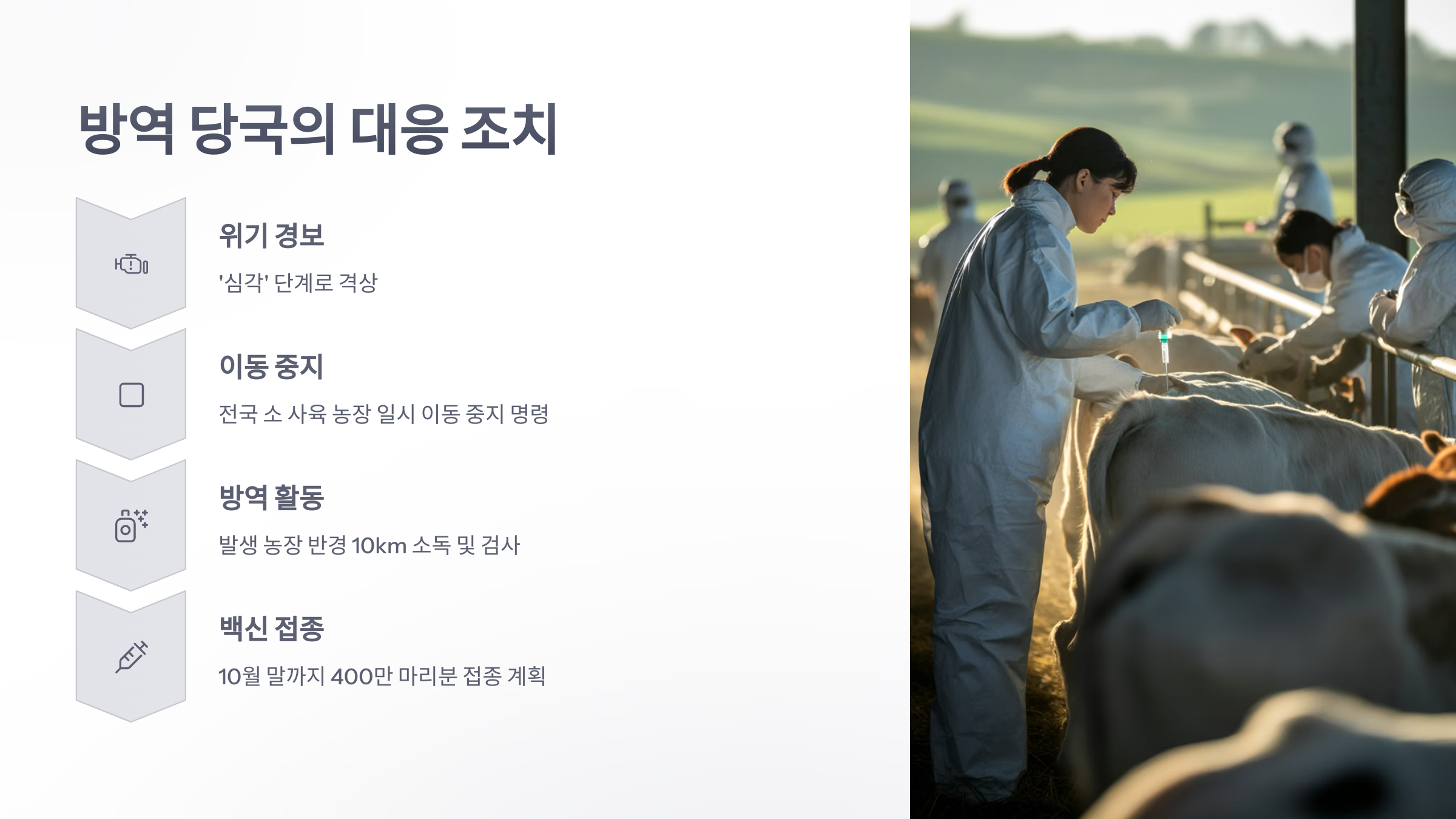 참조-럼피스킨병-확산-4