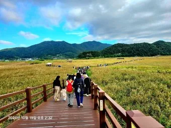순천 가볼만한곳 베스트10 순천만 갈대밭 숨겨진 명소_9