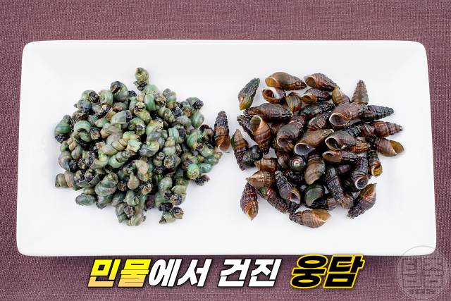 다슬기 효능 부작용