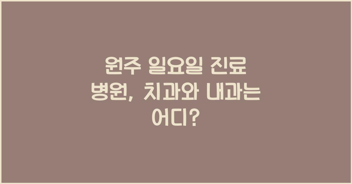 원주 일요일 진료 병원 치과 내과 이비인후과