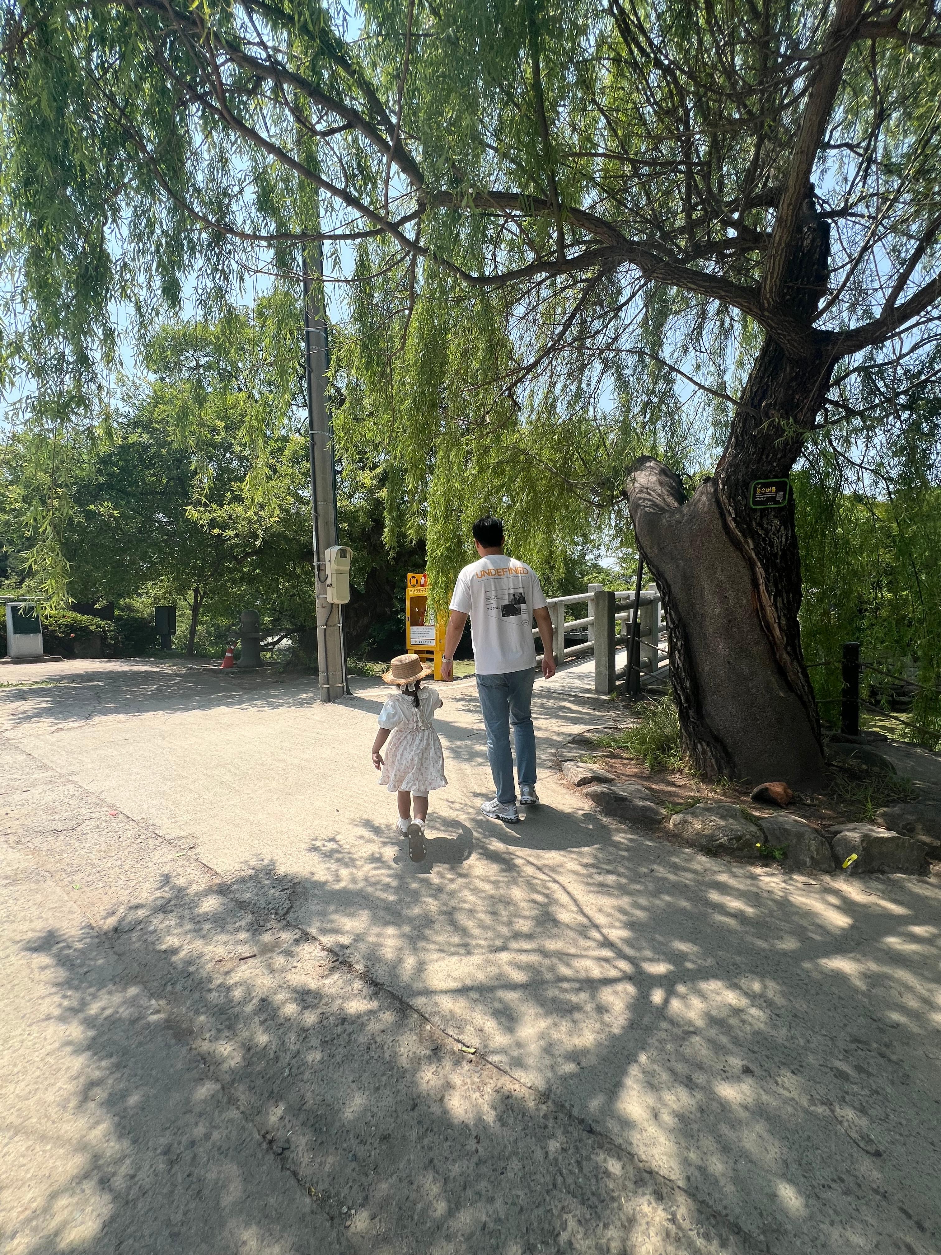 아빠와 위양지 연못 다리 건너기