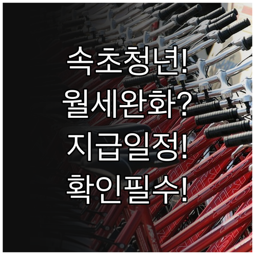속초시 청년월세지원 소득 기준 완화 ..