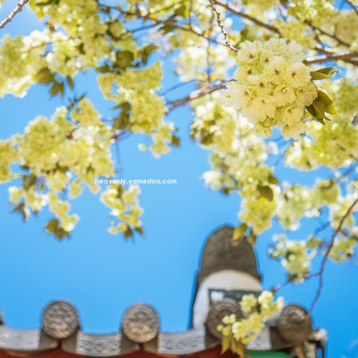 4월 국내여행지 베스트 10