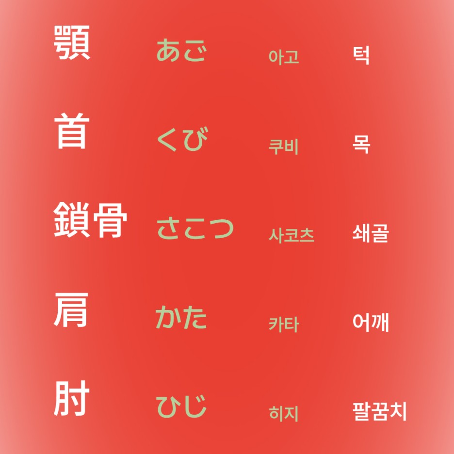 아고 쿠비 사코츠 카타 히지