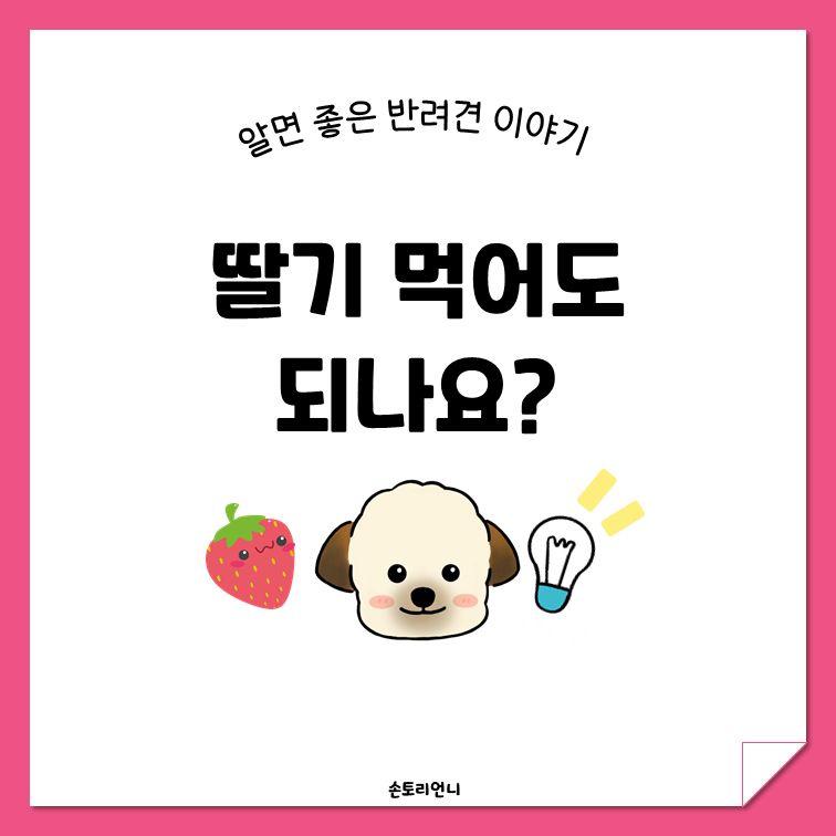 제목 대표 이미지