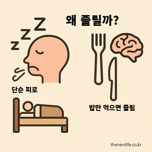 단순 피로와 식후 졸림의 차이를 비교한 일러스트 – 수면 부족 vs 식사 후 뇌 반응
