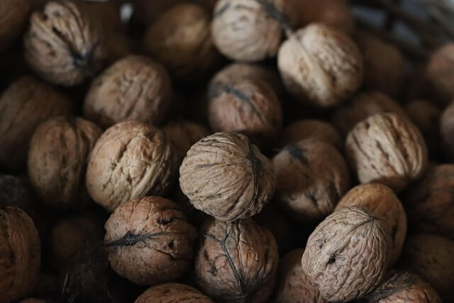 뇌 건강을 지키는 슈퍼푸드 7가지