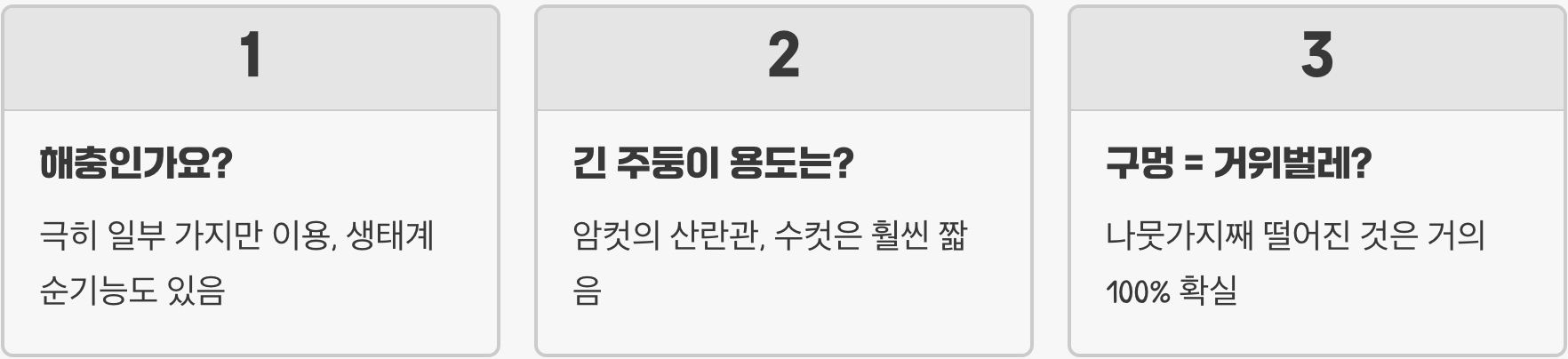 도토리거위벌레는 왜 힘들게 도토리를 잘라 땅에 떨어뜨릴까? (그 놀라운 이유)