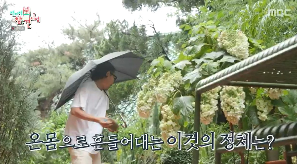 전참시 전지적참견시점 식집사 정재형, 패퍼톤즈 이장원 화단 가꾸기, 화단정리, 꽃심기, 가드닝 촬영한 곳 은평구 어디 위치 소개