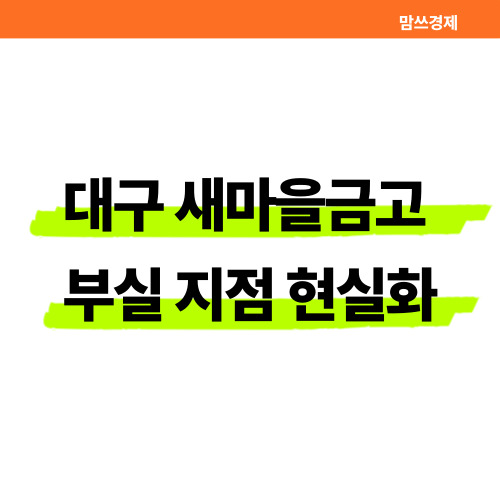 대구 새마을금고 부실 지점 현실화 썸네일