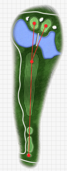 골드 그린 cc 3 Hole Tip