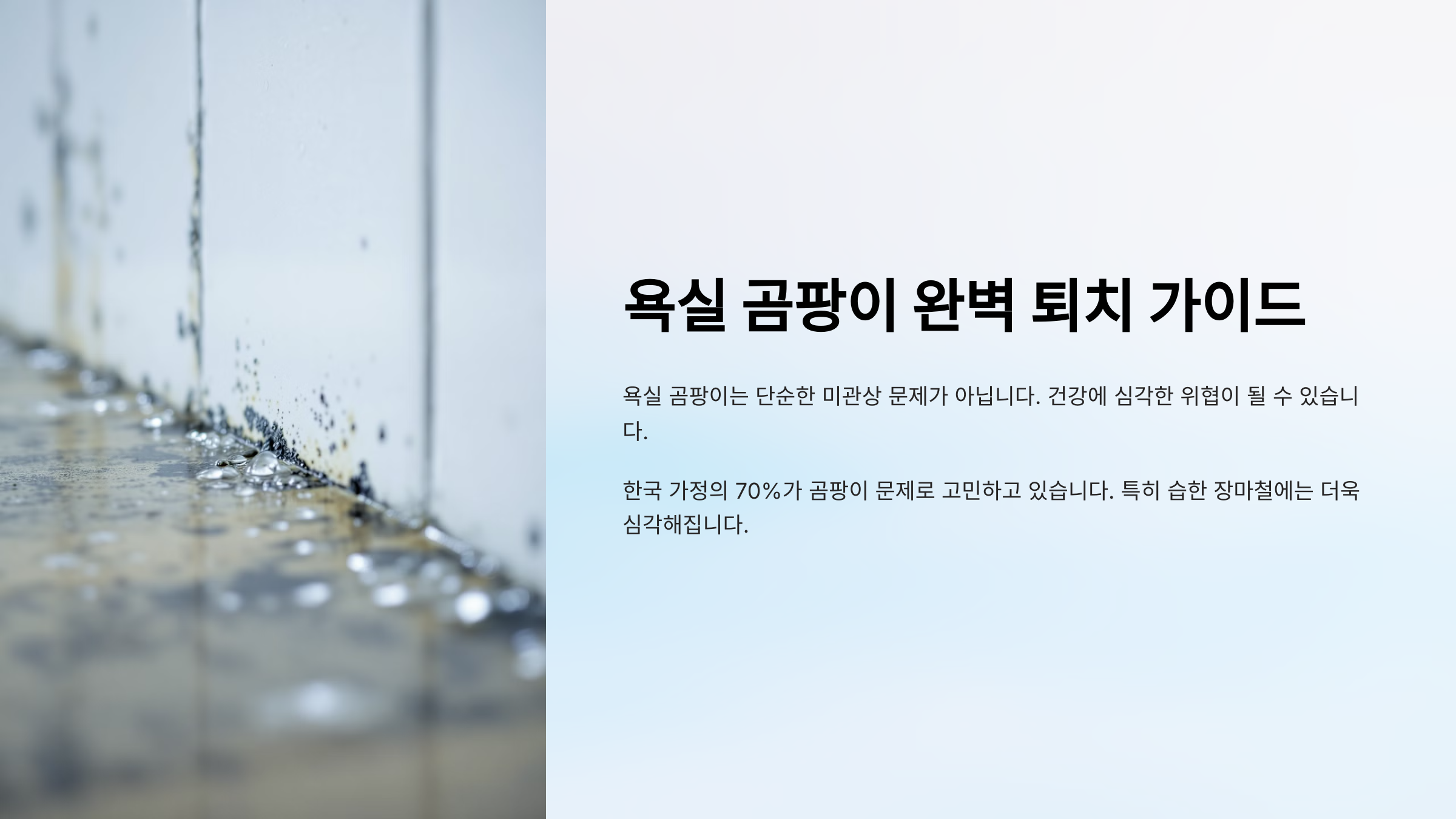 욕실 곰팡이 완벽 퇴치 가이드