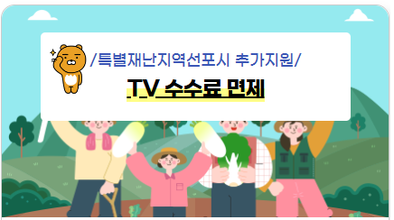 특별 재난지역 선포시 추가지원