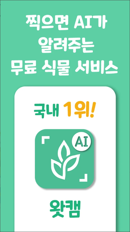 왓캠, 한국 꽃 이름 찾기