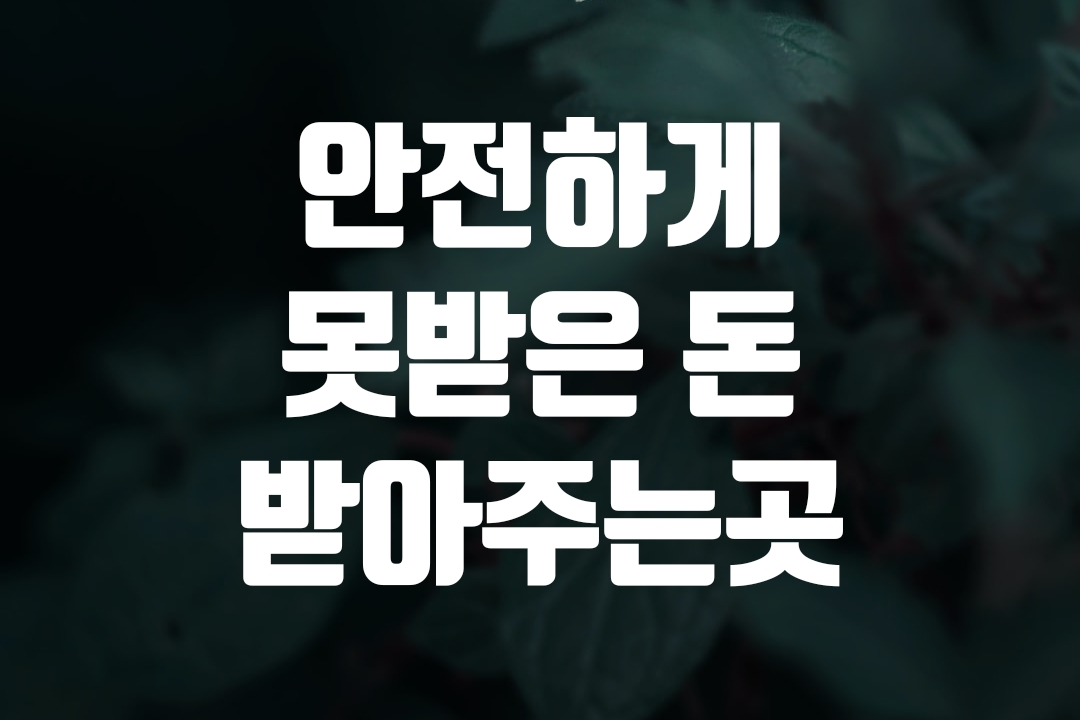 대표 사진