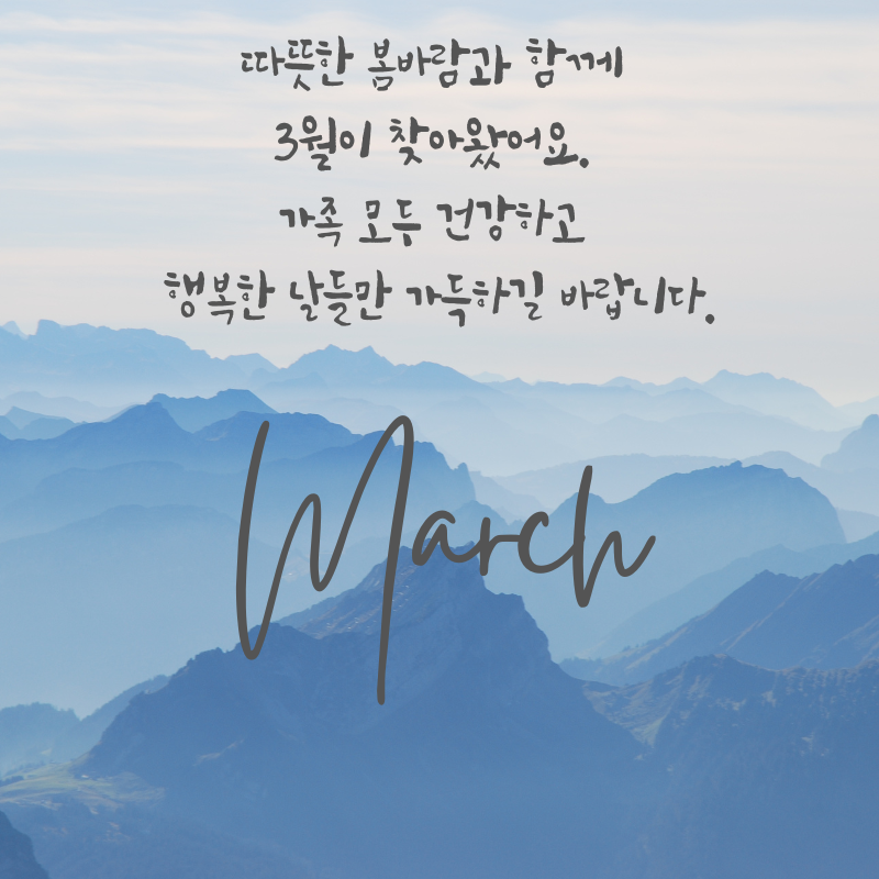 3월 인사말 문구 이미지 모음집