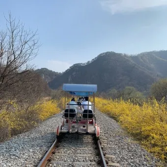 원주 레일바이크 예약 원주 레일바이크 이용안내 완벽 가이드_16