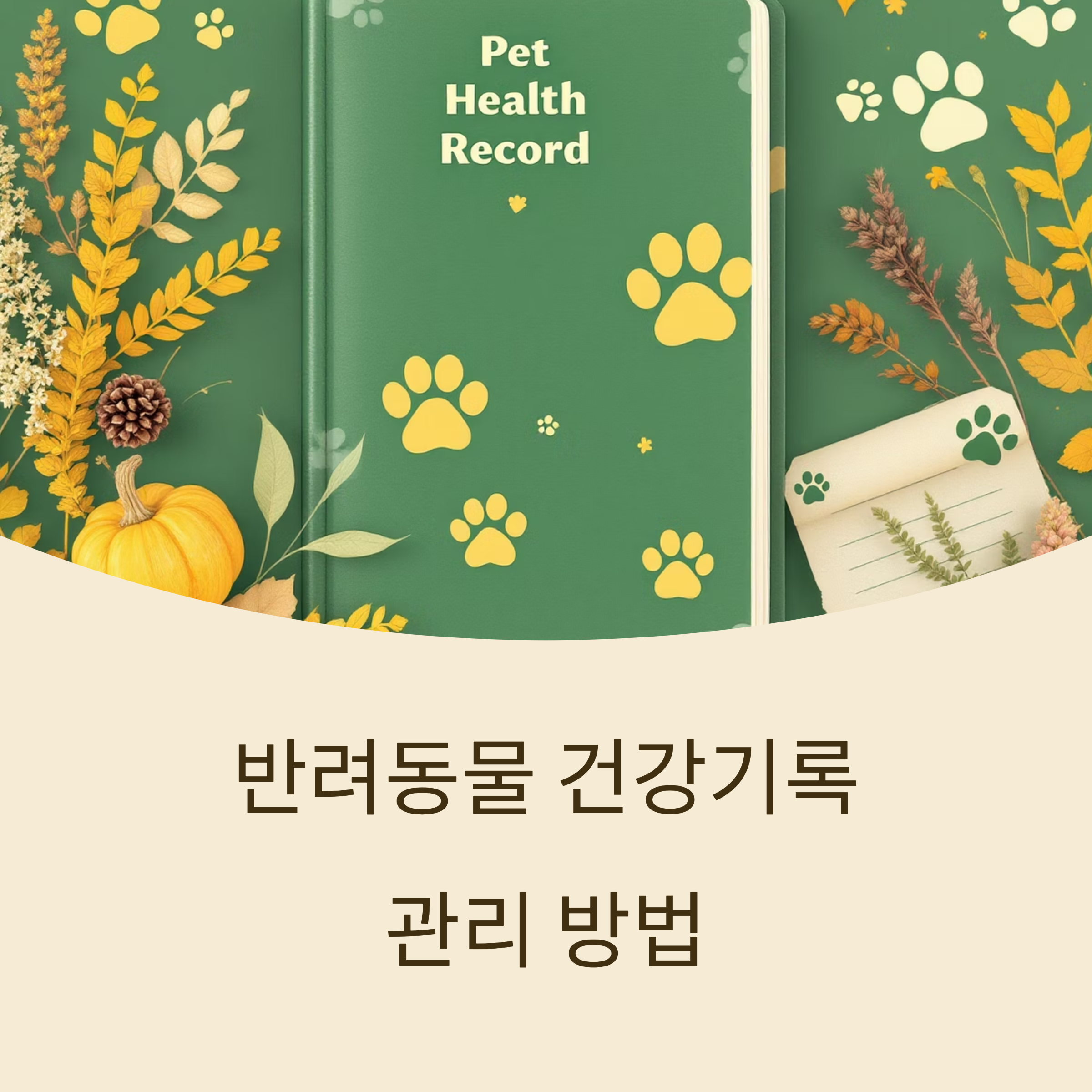 반려동물 건강기록 관리 방법