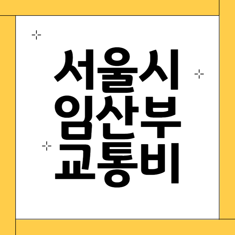 서울시 임산부 교통비