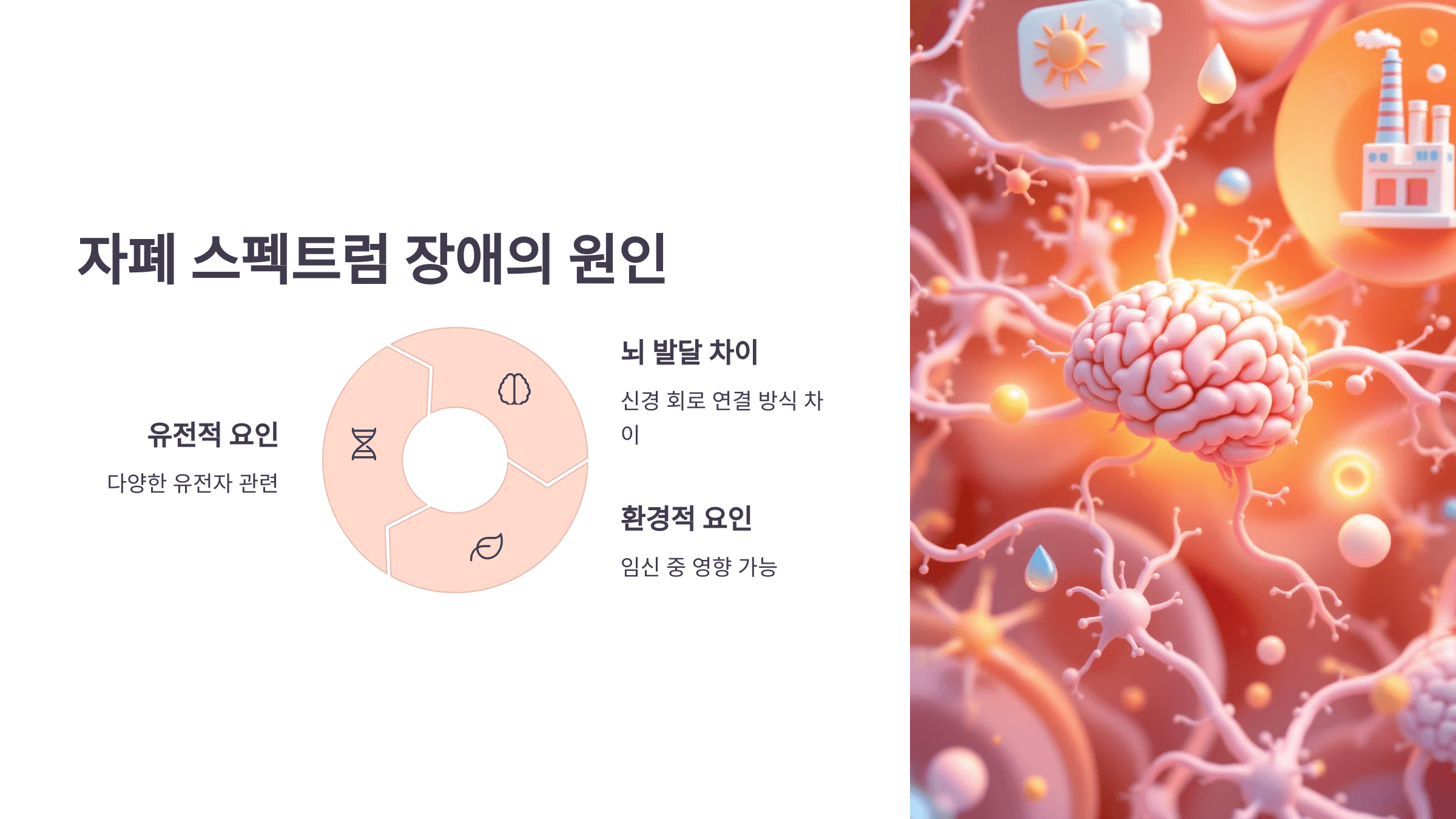 자폐 스펙트럼과 관련된 사진입니다.