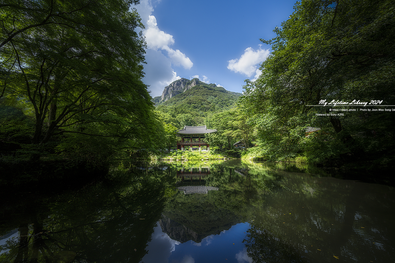 장성 백양사 여름