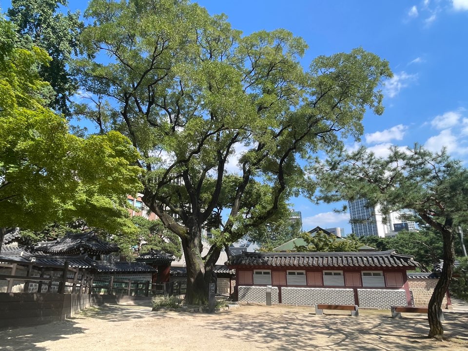 덕수궁