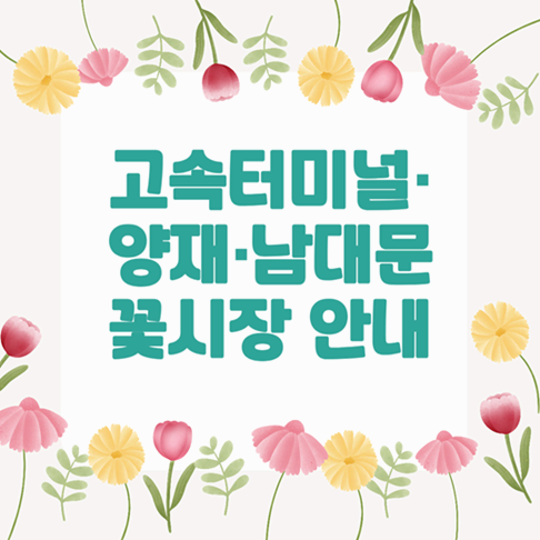 고속터미널·양재·남대문 꽃시장 가는 길, 영업시간, 주차 안내