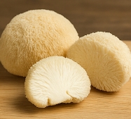 노루궁뎅이버섯 효능