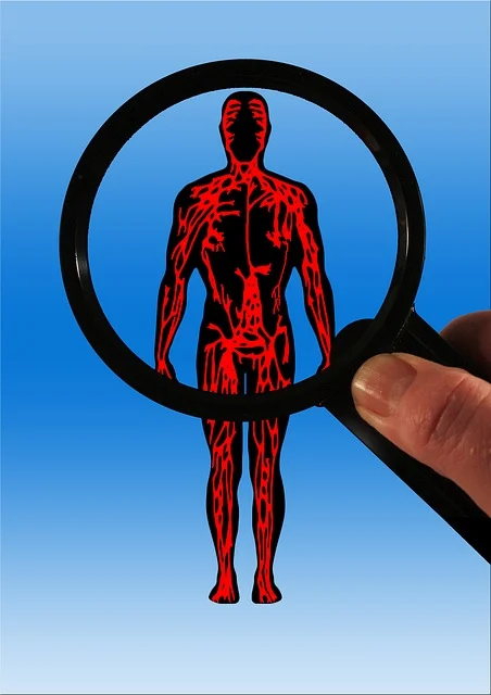 혈액순환에 관한 그림